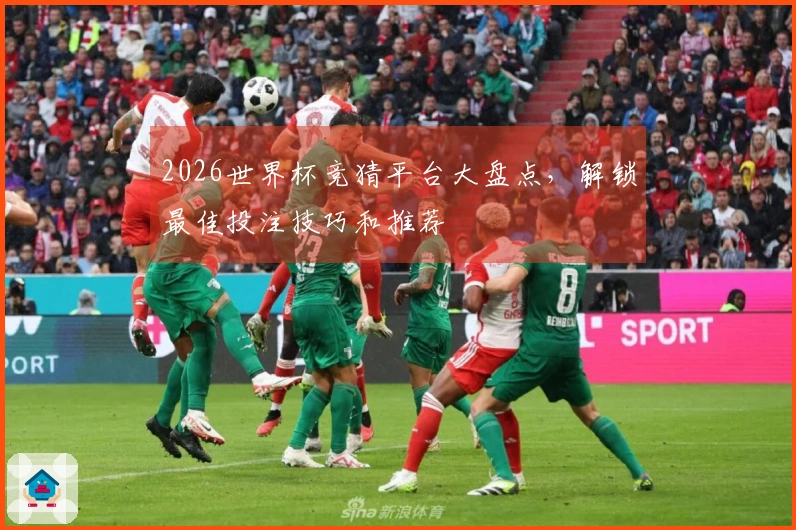 2026世界杯竞猜平台大盘点，解锁最佳投注技巧和推荐