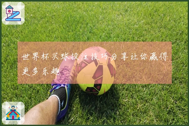 世界杯买球投注技巧分享让你赢得更多乐趣