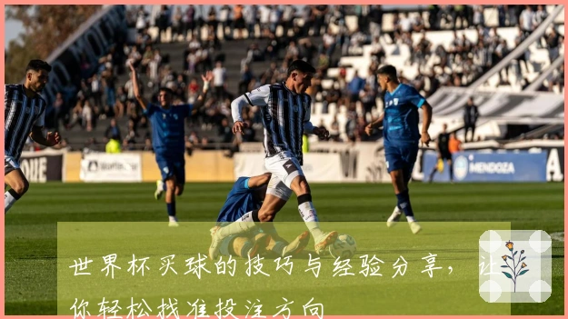 世界杯买球的技巧与经验分享，让你轻松找准投注方向