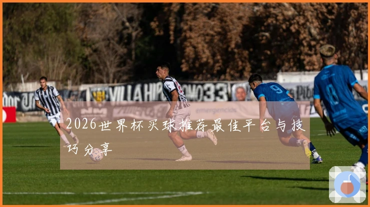 2026世界杯买球推荐最佳平台与技巧分享