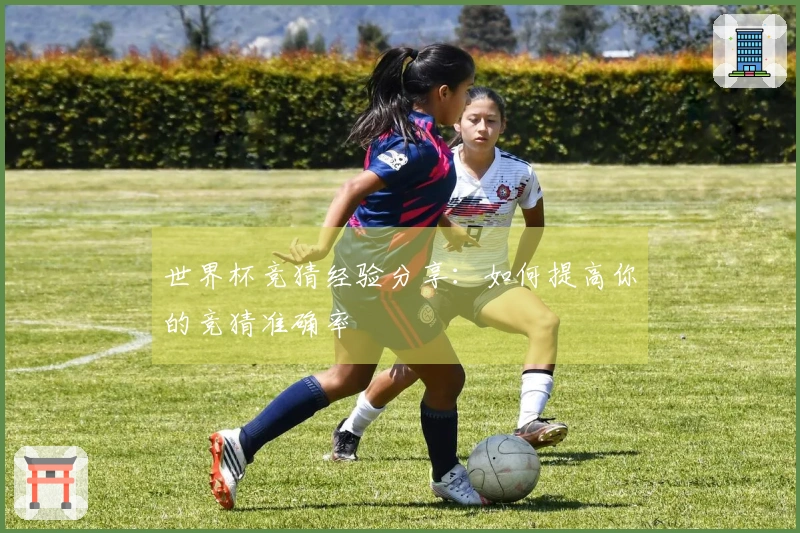 世界杯竞猜经验分享：如何提高你的竞猜准确率