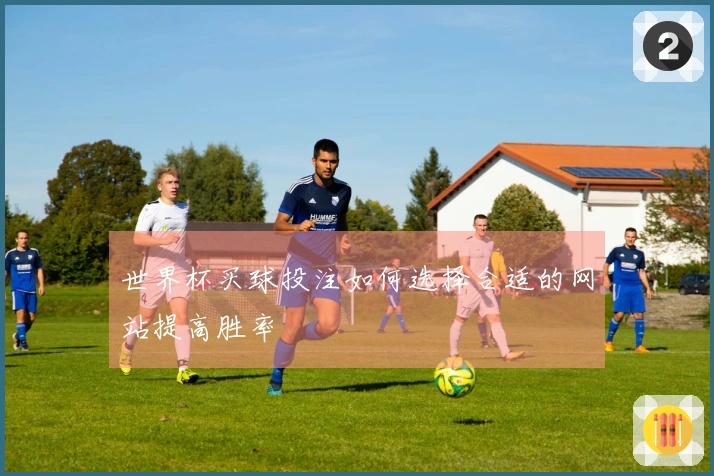 世界杯买球投注如何选择合适的网站提高胜率