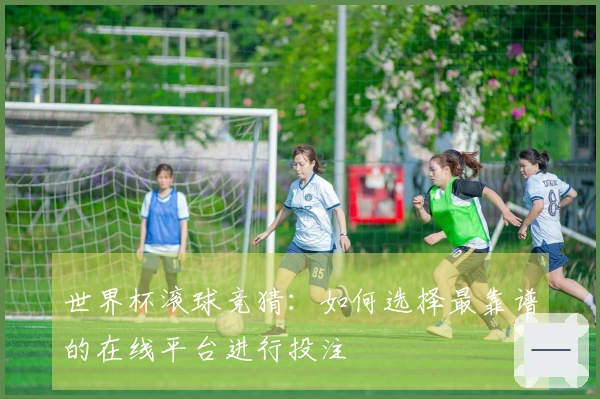 世界杯滚球竞猜：如何选择最靠谱的在线平台进行投注