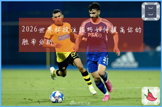 2026世界杯投注技巧如何提高你的胜率分析